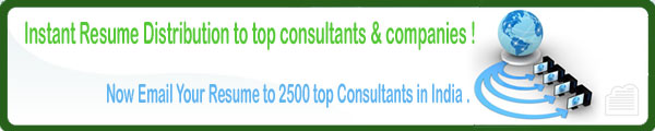 Resume Distribution Services
